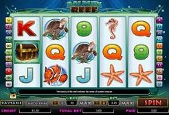 Play Dolphin Reef Slot now!