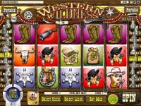Play now Western Wilderness Slots!