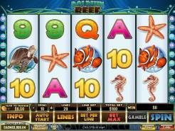 Play Dolphin Reef Slot now!