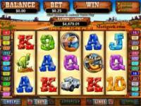 Play Coyote Cash Slots now!