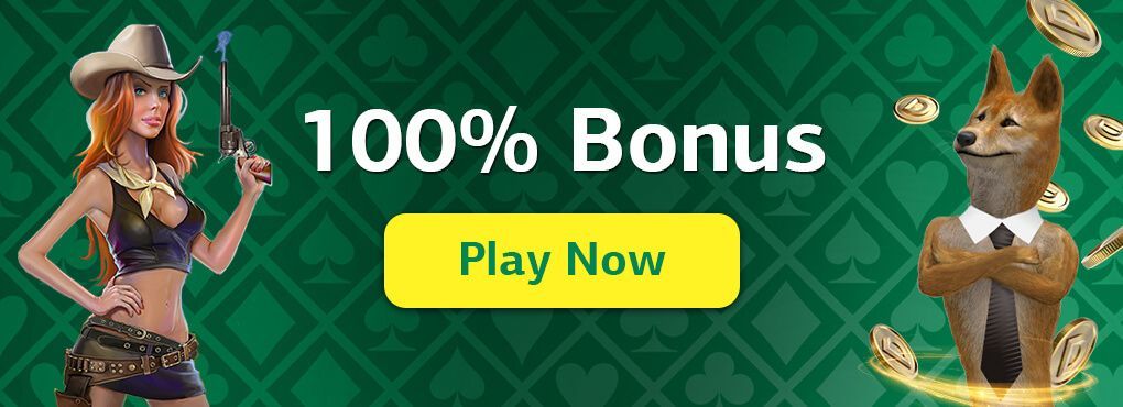 Dingo Casino