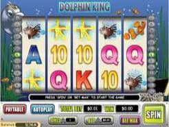 Play Dolphin King Slot now!