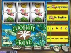 Coconut Grove Slots