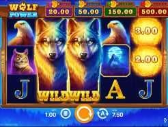 Wolf Power: Hold and Win Slots